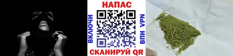 KRAKEN как зайти  Чердынь  Бошки марихуана конопля  сколько стоит 